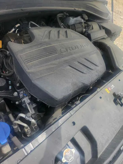 2020 Hyundai Santa FE KMHS381CBLU305091 VIN:KMHS381CBLU305091