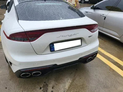 2021 Kia Stinger KNAE551CBNS115060 VIN:KNAE551CBNS115060