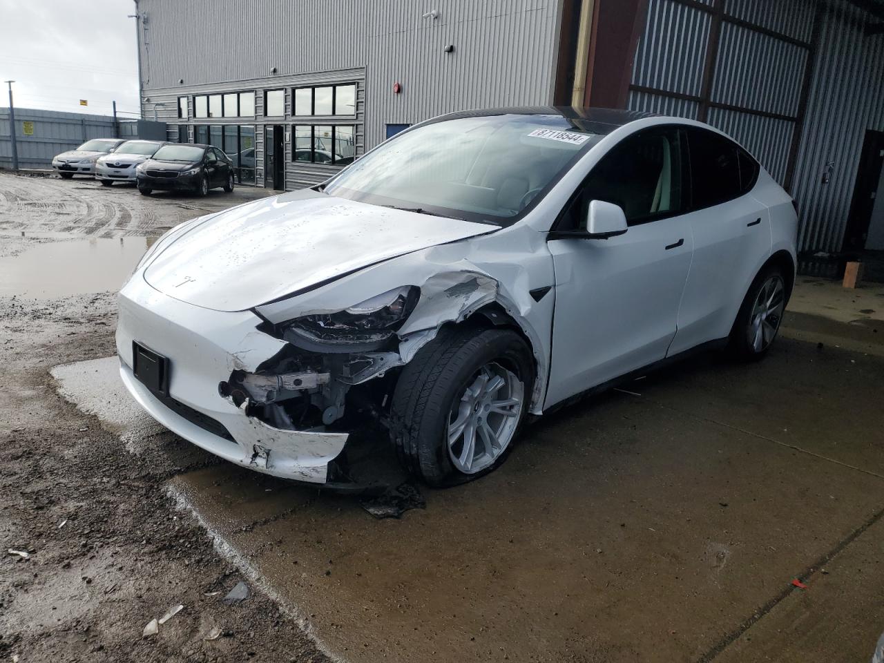 2023 TESLA MODEL Y  VIN:7SAYGDEE7PF707363