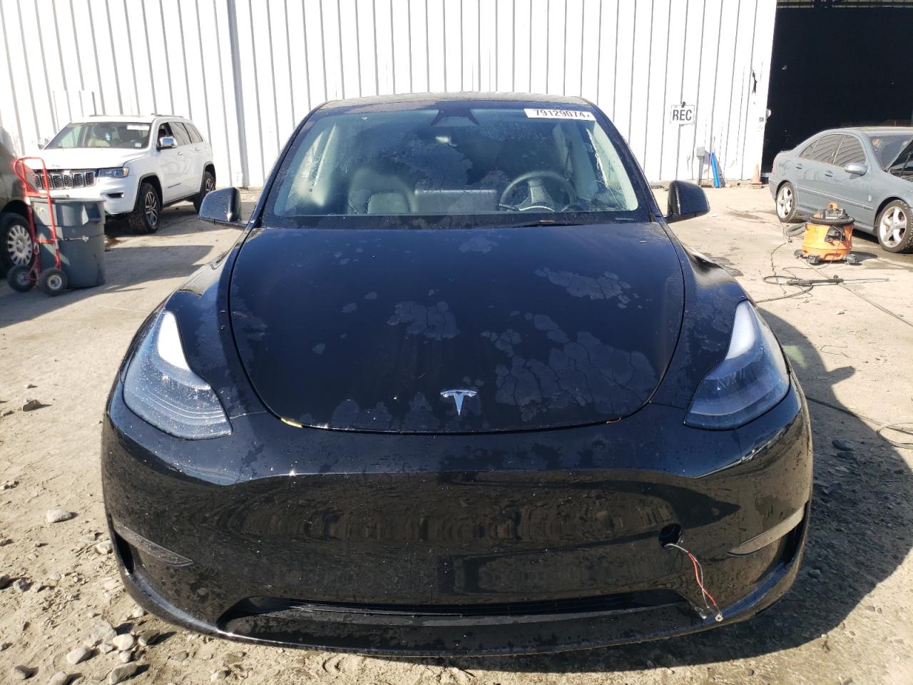 2023 TESLA MODEL Y  VIN:7SAYGDEE3PF889997