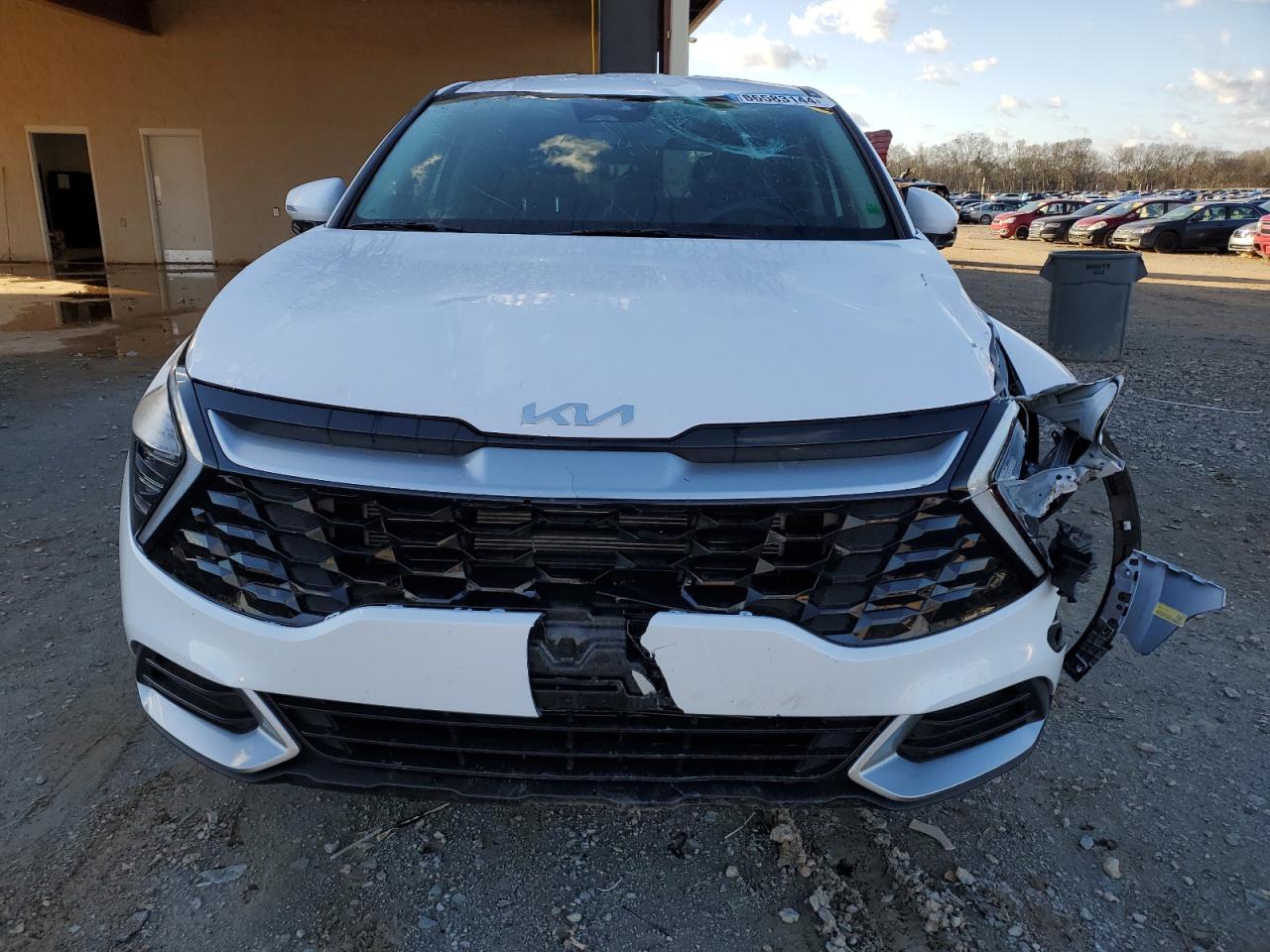 2024 KIA SPORTAGE EX VIN:5XYK33DF5RG228034