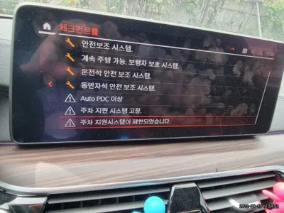 2021 BMW 530 WBA31BJ06MWX16003 VIN:WBA31BJ06MWX16003