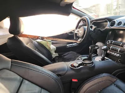 2019 Ford Mustang VIN: