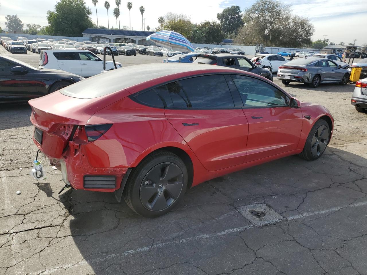 2023 TESLA MODEL 3  VIN:5YJ3E1EA1PF579260