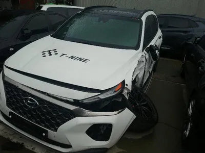 2019 Hyundai Santa FE KMHS381CDKU003486 VIN:KMHS381CDKU003486