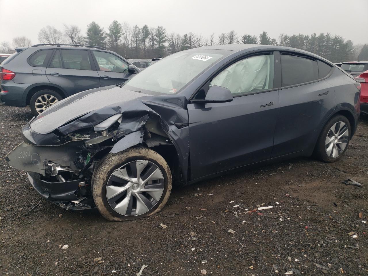 2023 TESLA MODEL Y  VIN:7SAYGDEE3PA203552