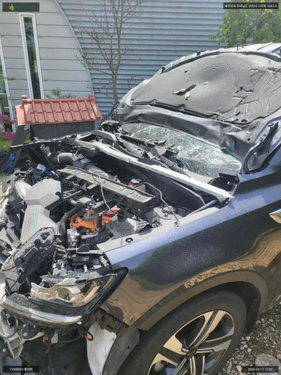 2021 Kia Sorento KNARK81GDMA031323 VIN:KNARK81GDMA031323