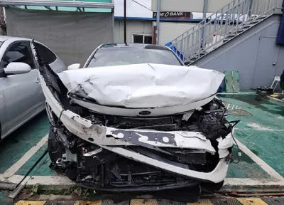 2017 Kia K5 KNAGS411BHA133020 VIN:KNAGS411BHA133020