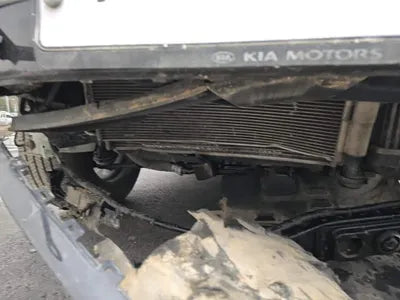 2019 Kia Sorento KNAPG81BDKA540068 VIN:KNAPG81BDKA540068