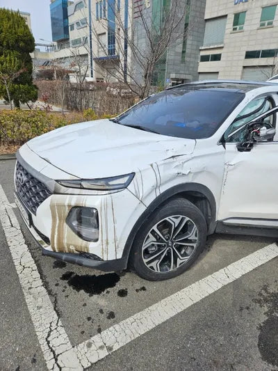 2019 Hyundai Santa FE KMHS381BDKU099649 VIN:KMHS381BDKU099649