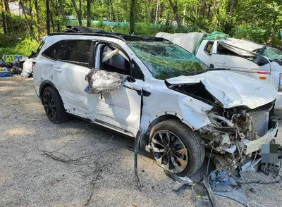 2022 Kia Sorento KNARM81FHNA155884 VIN:KNARM81FHNA155884