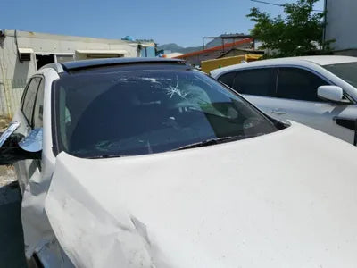 2016 Kia Sorento KNAPS81ABHA273043 VIN:KNAPS81ABHA273043