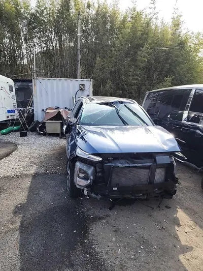 2019 Hyundai Santa FE VIN:
