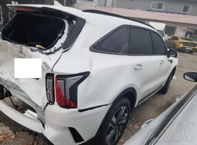 2023 Kia Sorento KNARJ81GBPA204006 VIN:KNARJ81GBPA204006
