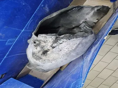 2016 Mercedes-Benz S 500 WDDUX8FB8GA232733 VIN:WDDUX8FB8GA232733