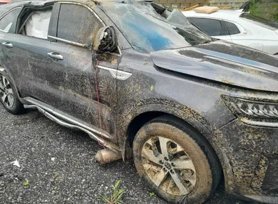 2021 Kia Sorento KNARH81BGMA047399 VIN:KNARH81BGMA047399