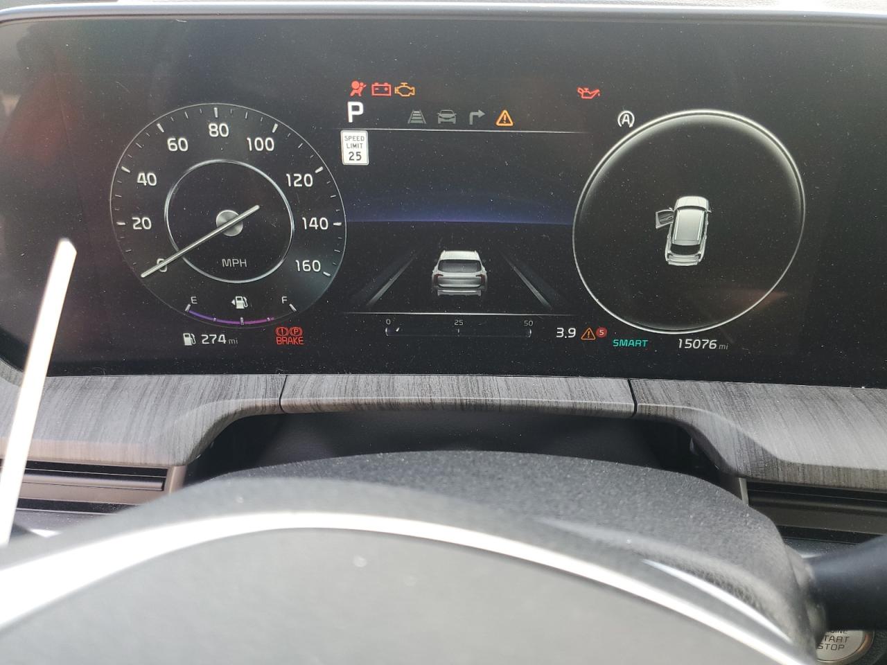 2024 KIA TELLURIDE SX VIN:5XYP5DGC2RG412872