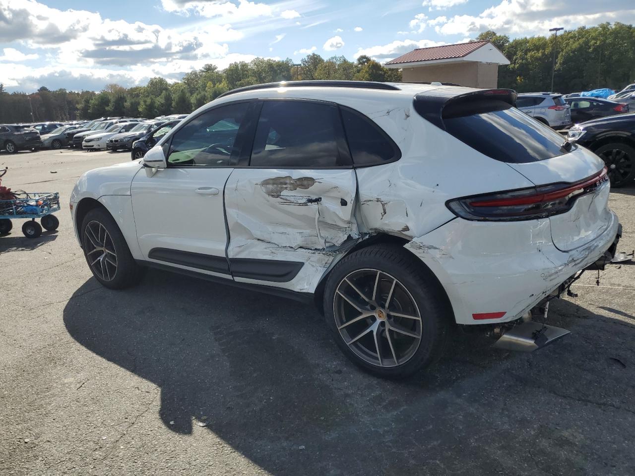 2024 PORSCHE MACAN BASE VIN:WP1AA2A51RLB20276