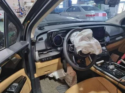 2021 Kia Carnival KNANC81BBMS063366 VIN:KNANC81BBMS063366