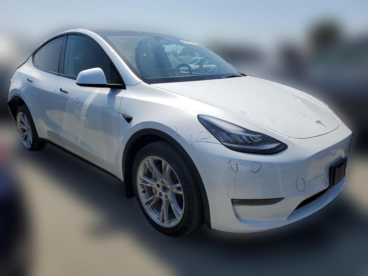 2023 TESLA MODEL Y  VIN:7SAYGDEEXPA120409