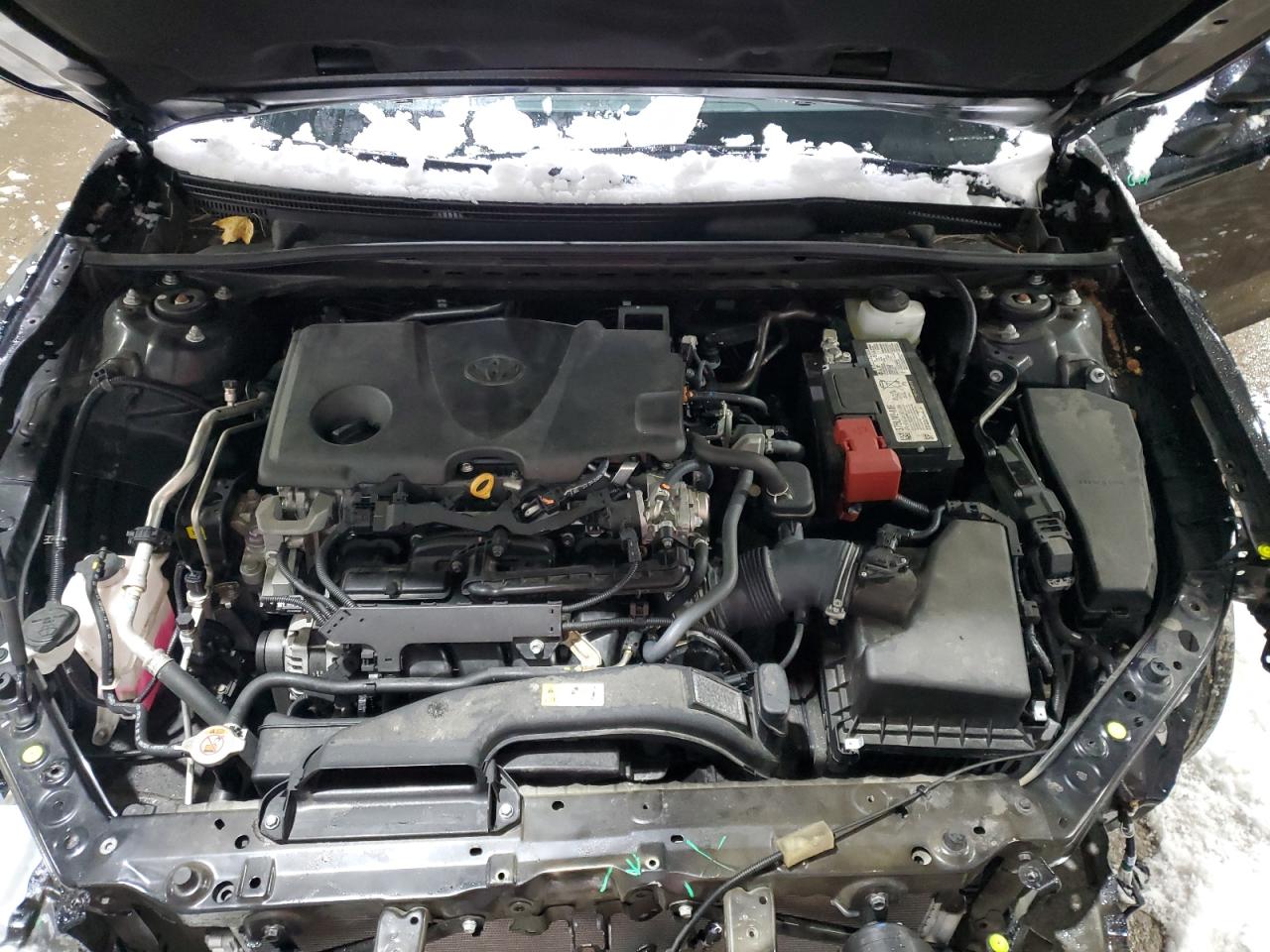 2023 TOYOTA CAMRY LE VIN:4T1C11BK0PU088366