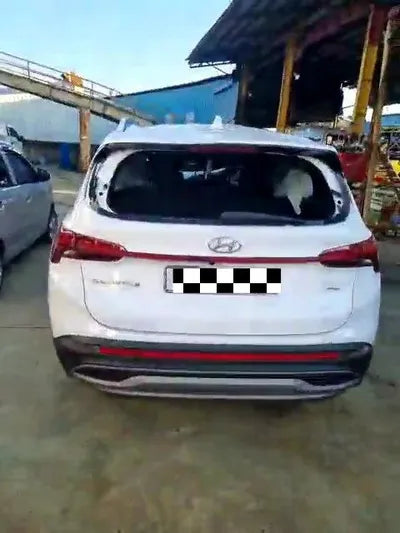 2020 Hyundai Santa FE KMHS381HHMU353108 VIN:KMHS381HHMU353108