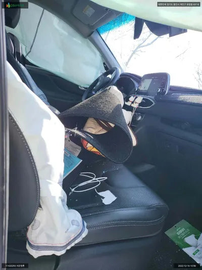 2019 Hyundai Santa FE KMHS381ABKU177949 VIN:KMHS381ABKU177949