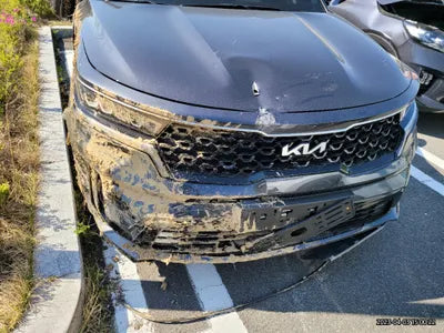 2023 Kia Sorento KNARL81GBPA144089 VIN:KNARL81GBPA144089