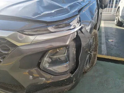 2019 Hyundai Santa FE KMHS381ABLU247383 VIN:KMHS381ABLU247383