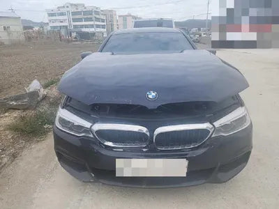 2018 BMW 520 WBAJC5100JWB87813 VIN:WBAJC5100JWB87813