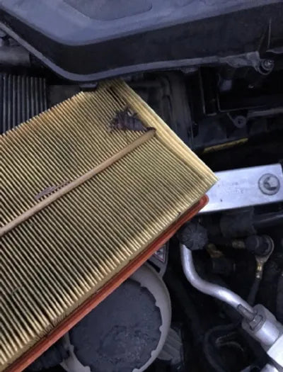 2022 Mercedes-Benz S 580 W1K6G7GB7NA108354 VIN:W1K6G7GB7NA108354