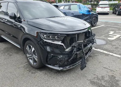 2021 Kia Sorento KNARJ81GDMA034439 VIN:KNARJ81GDMA034439