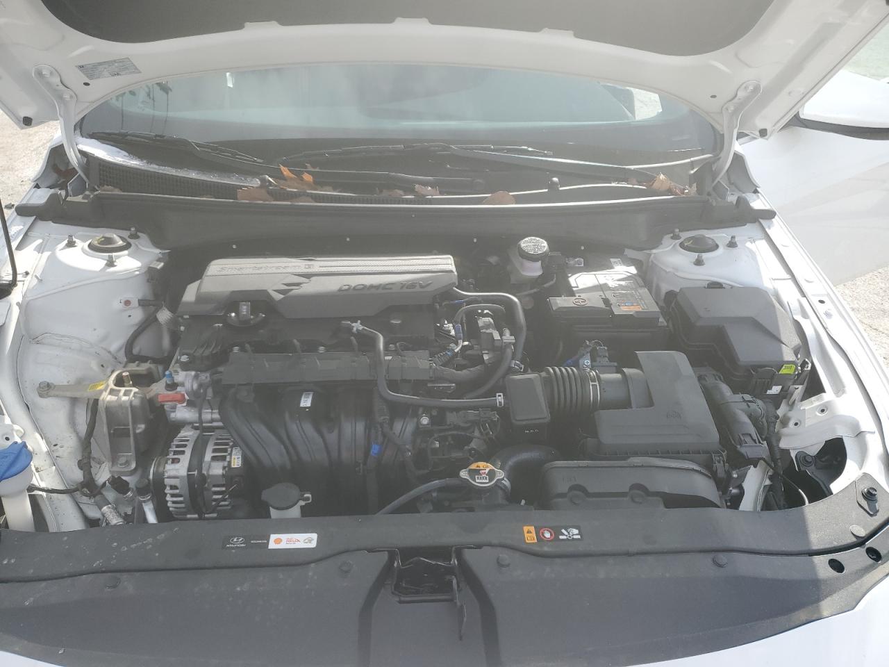 2024 HYUNDAI ELANTRA SEL VIN:KMHLS4DG1RU807019