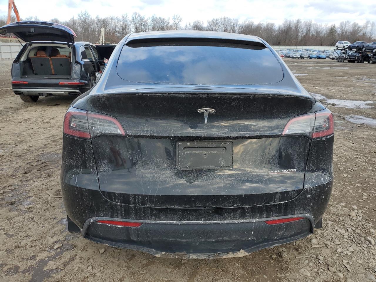 2023 TESLA MODEL Y  VIN:7SAYGDEF4PF834497
