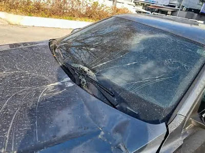 2020 Volkswagen Jetta WVWZZZBUZLM095087 VIN:WVWZZZBUZLM095087