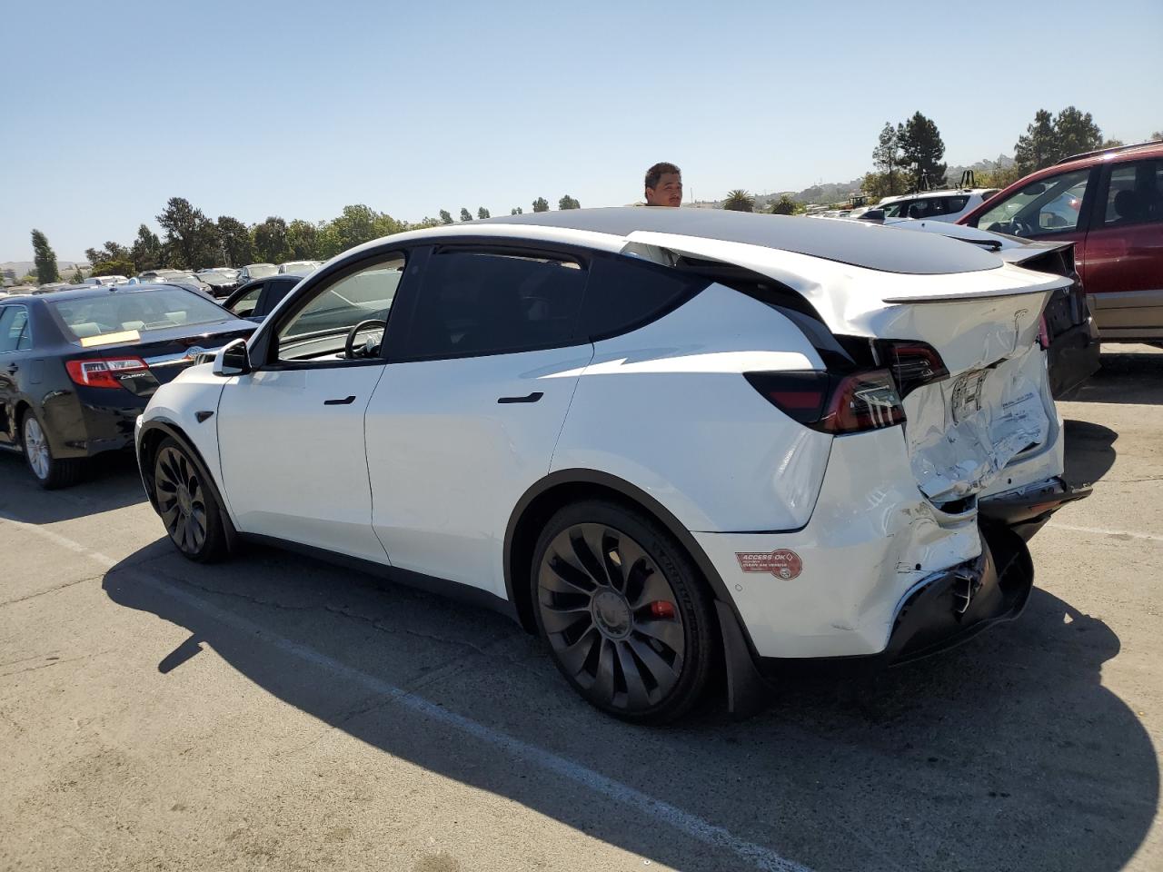 2022 TESLA MODEL Y  VIN:7SAYGDEF0NF560115