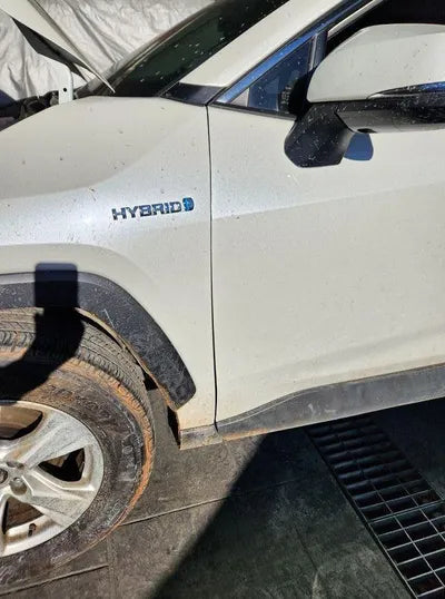 2019 Toyota RAV4 VIN: