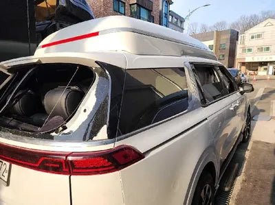 2021 Kia Carnival KNANE813BMS021178 VIN:KNANE813BMS021178