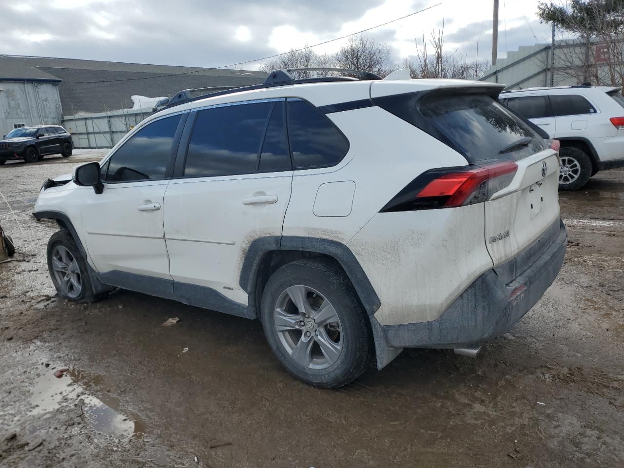 2023 TOYOTA RAV4 XLE VIN:JTMRWRFV4PD184228