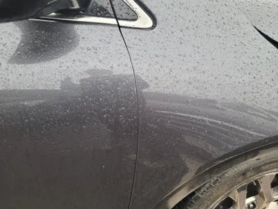 2019 Kia Sorento KNAPH81BBLA633531 VIN:KNAPH81BBLA633531