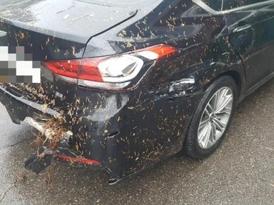 2020 Genesis G80 VIN: