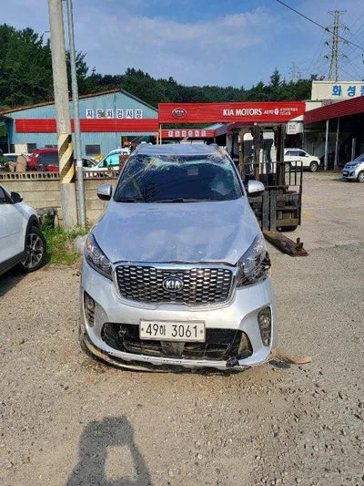 2019 Kia Sorento KNAPG81ADKA519065 VIN:KNAPG81ADKA519065