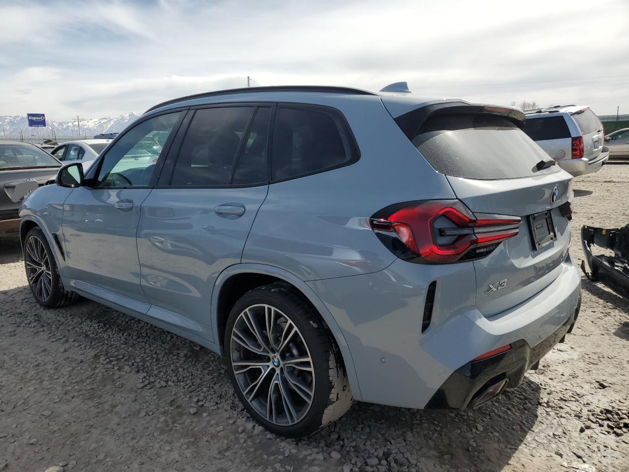 2023 BMW X3 SDRIVE30I VIN:5UX43DP04P9R59296