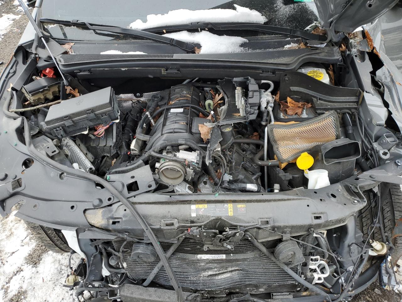 2023 DODGE DURANGO R/T VIN:1C4SDJCT5PC555902