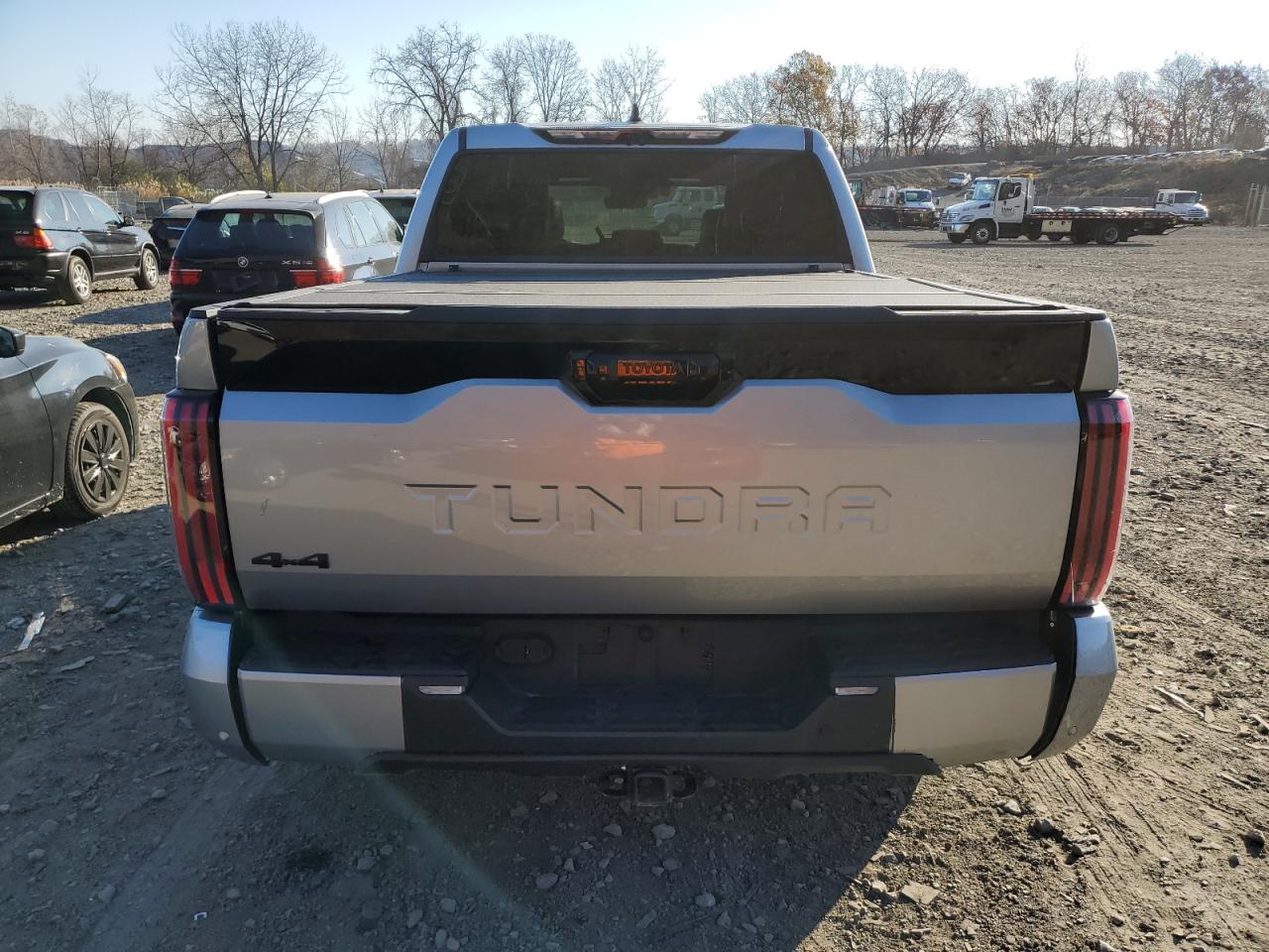 2023 TOYOTA TUNDRA CREWMAX PLATINUM VIN:5TFNA5DB8PX066972