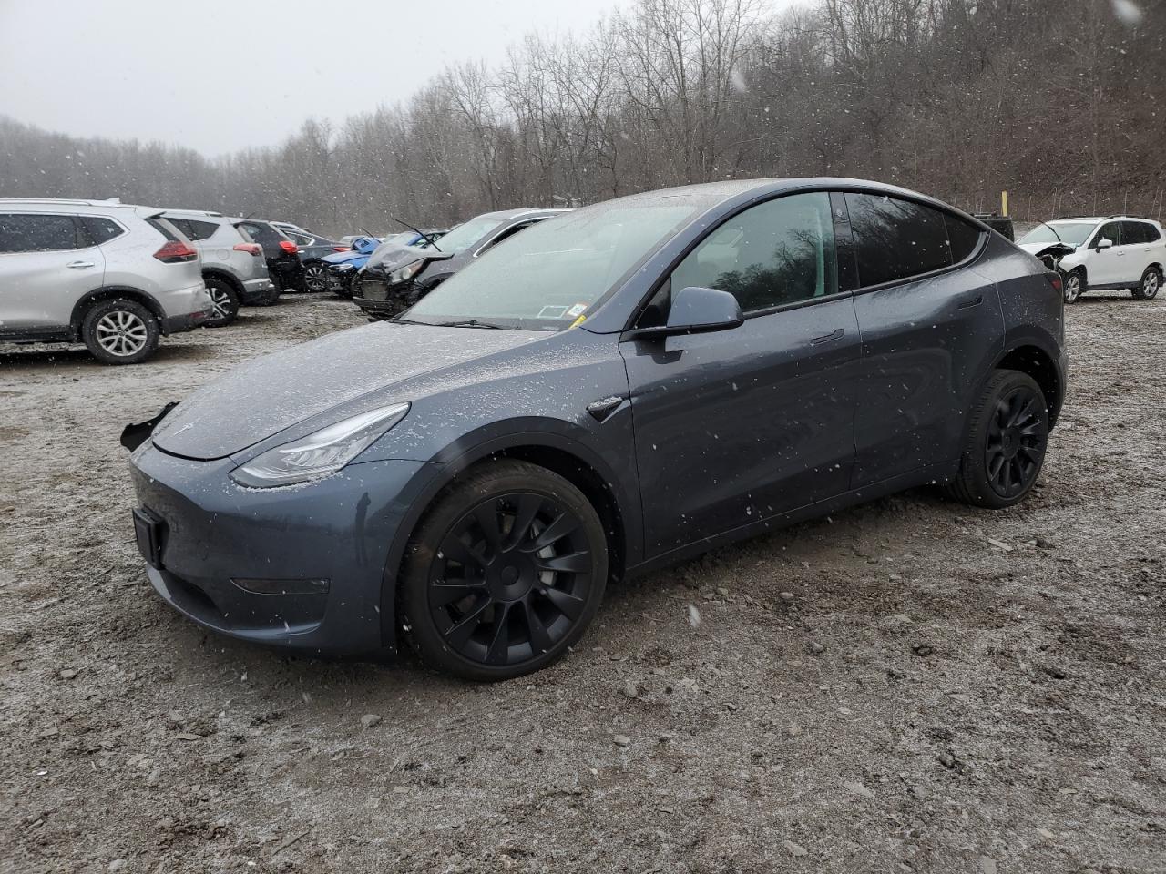 2023 TESLA MODEL Y  VIN:7SAYGDEE8PA043653
