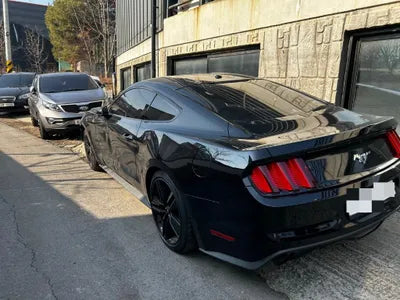 2017 Ford Mustang 1FA6P8TH9H5338409 VIN:1FA6P8TH9H5338409