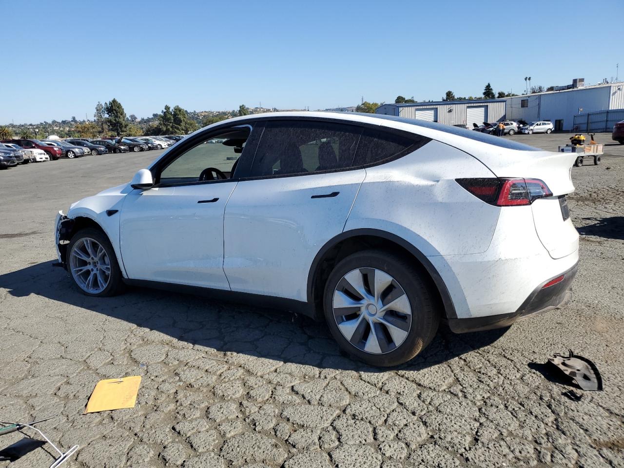 2024 TESLA MODEL Y  VIN:7SAYGDEE0RF982107