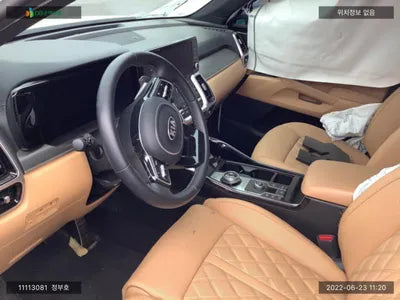 2020 Kia Sorento KNARH81GBMA020392 VIN:KNARH81GBMA020392