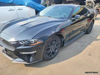 2019 Ford Mustang VIN: